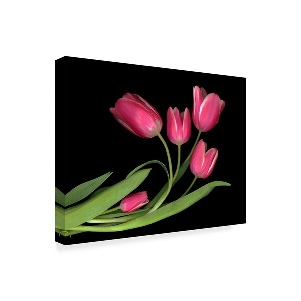 Susan S. Barmon 'Tulips 3' Canvas Art,18x24